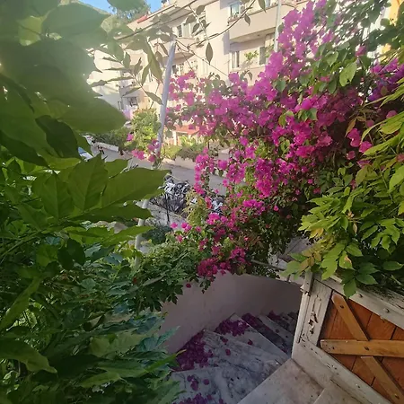 Center By Harbour First Floor מרמריס