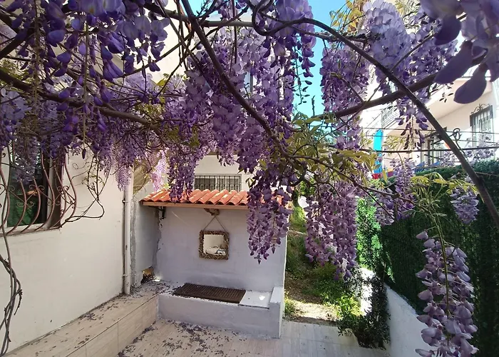 Center By Harbour First Floor מרמריס