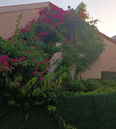 Center By Harbour First Floor Marmaris