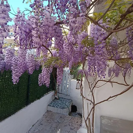 City Center By Harbour First Floor Casa vacanze *