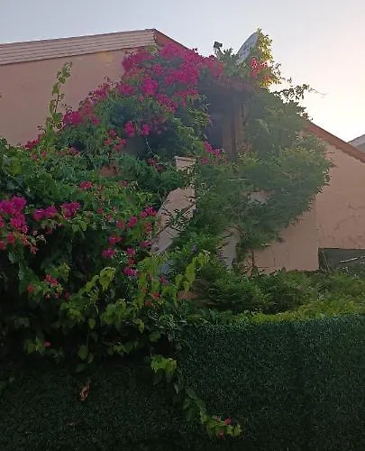 Center By Harbour First Floor Marmaris